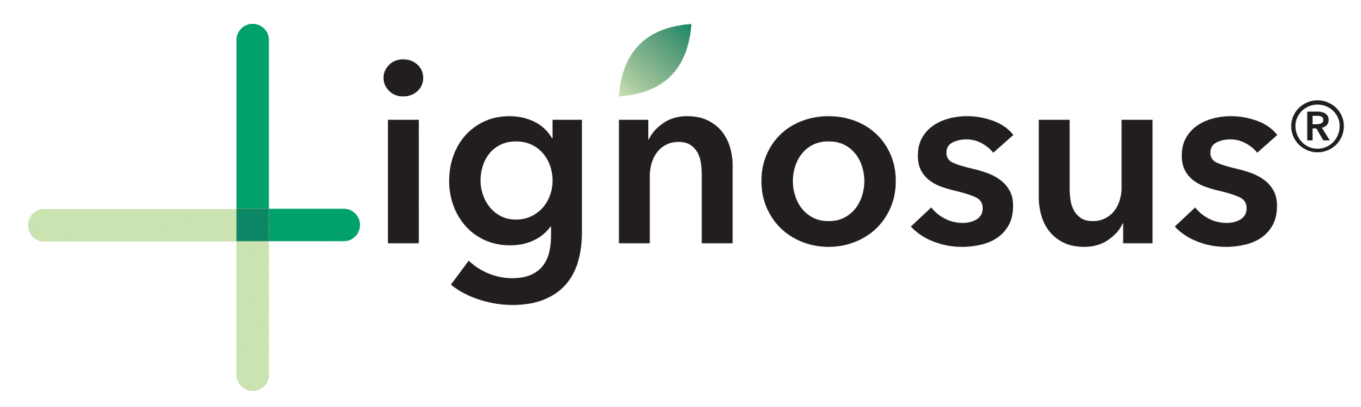 Lignosus América Latina